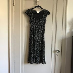 Max Studio Black & Tan Dress